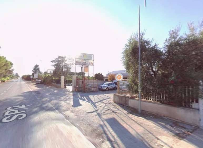 immagine annuncio 3 di 11