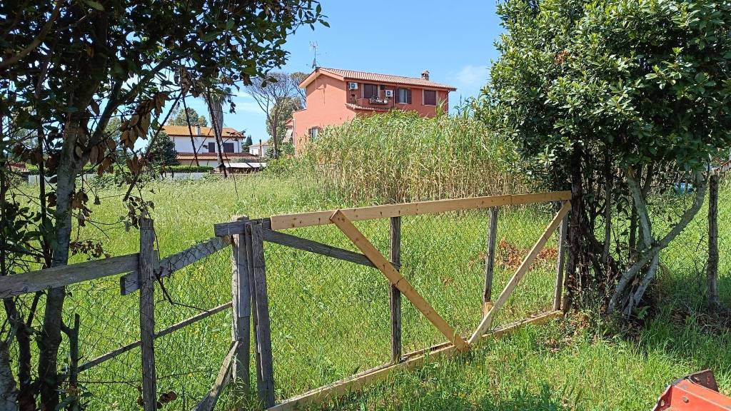 immagine annuncio 6 di 12