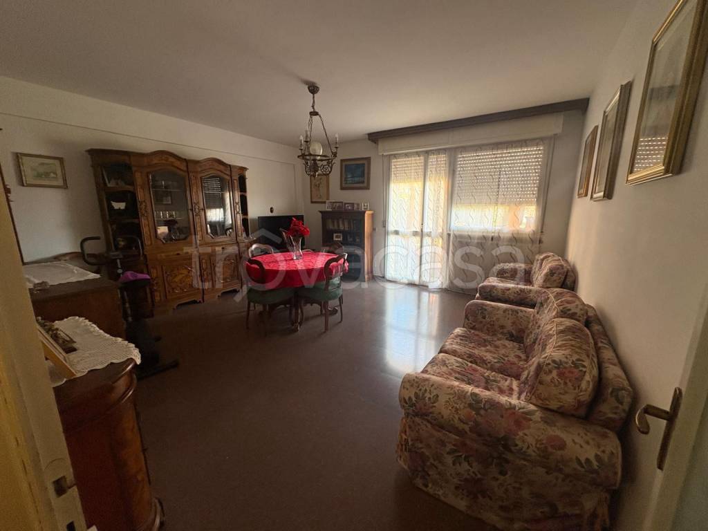 immagine annuncio 1 di 14