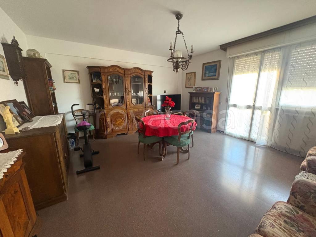 immagine annuncio 2 di 14