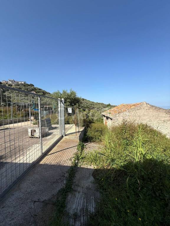 immagine annuncio 11 di 14