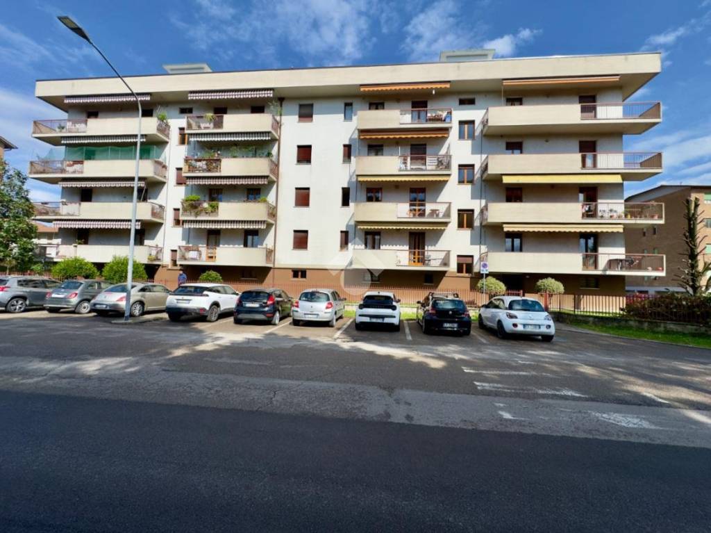 immagine annuncio 12 di 13