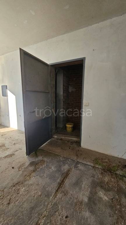 immagine annuncio 12 di 14