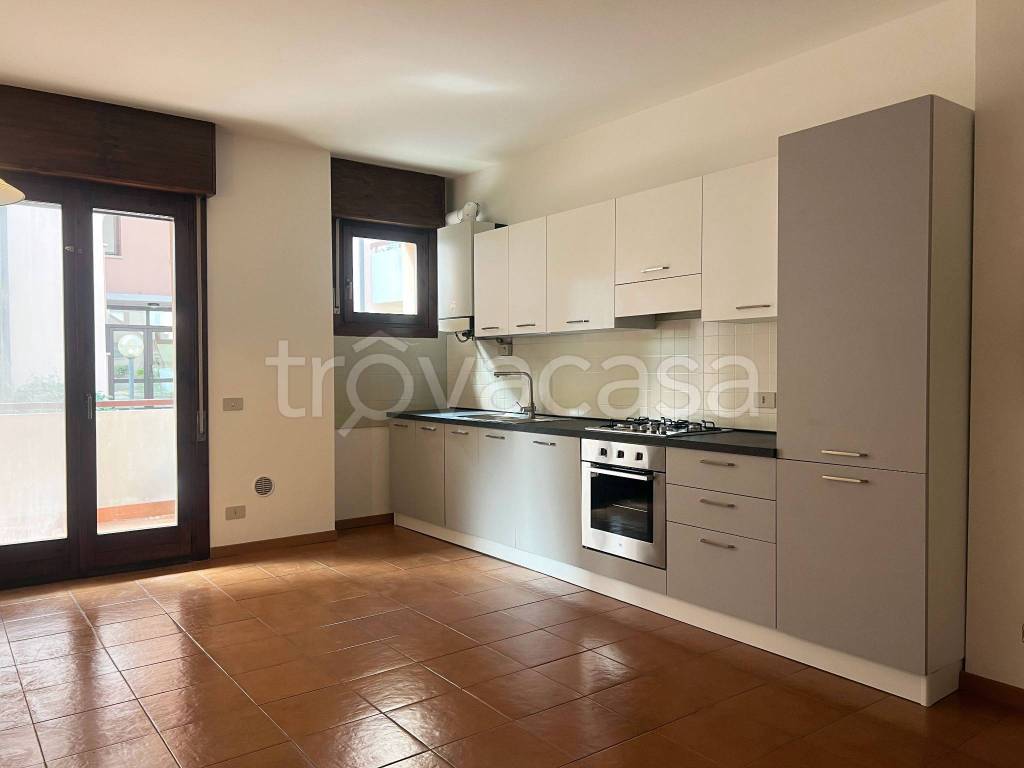 immagine annuncio 2 di 8