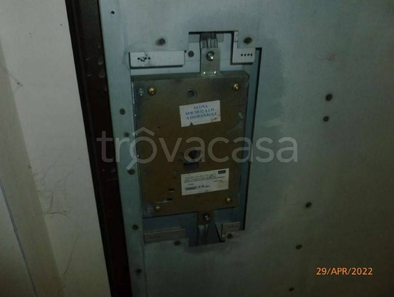 immagine annuncio 8 di 14