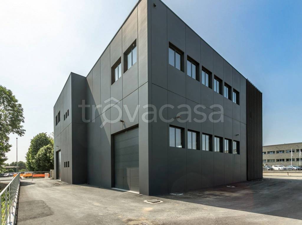 immagine annuncio 2 di 15