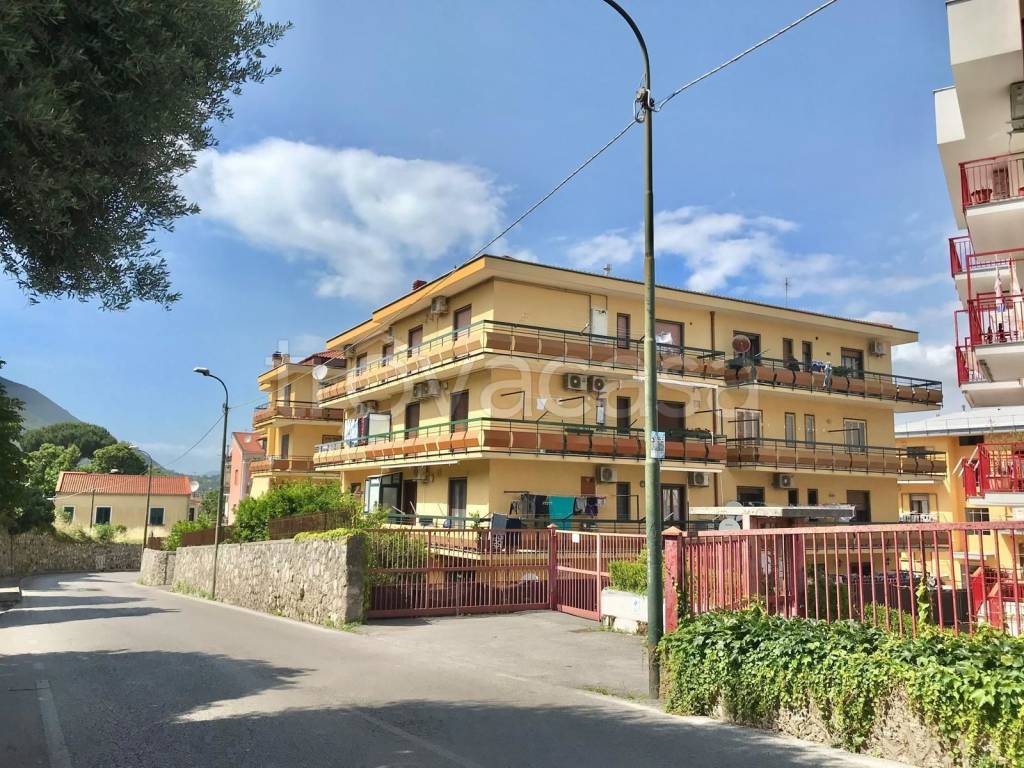 immagine annuncio 6 di 8