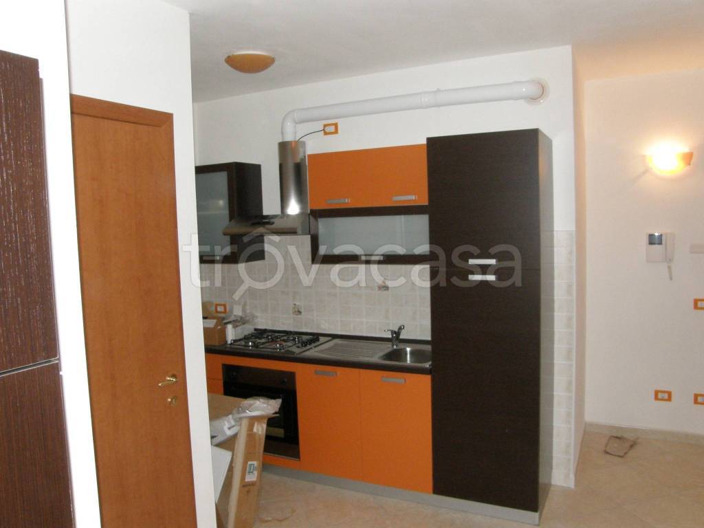 immagine annuncio 4 di 12