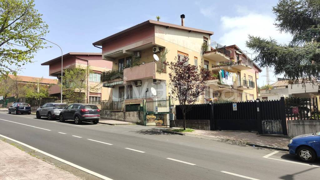 immagine annuncio 10 di 14