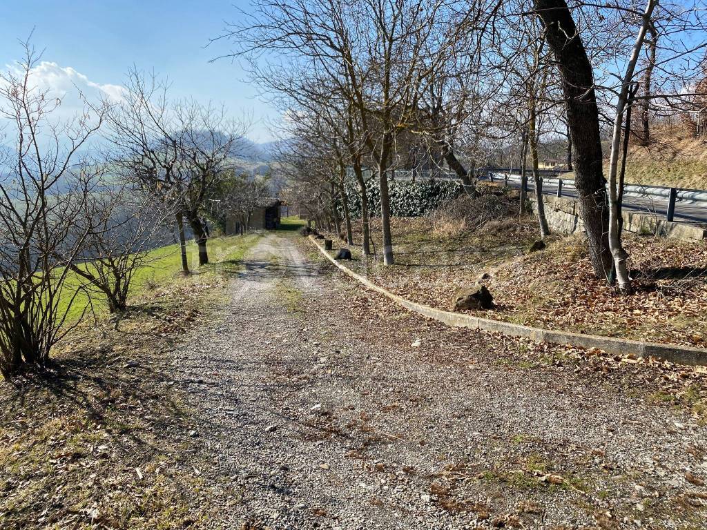 immagine annuncio 5 di 11