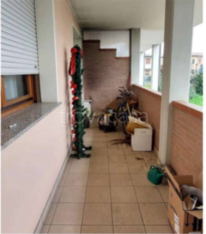 immagine annuncio 1 di 14