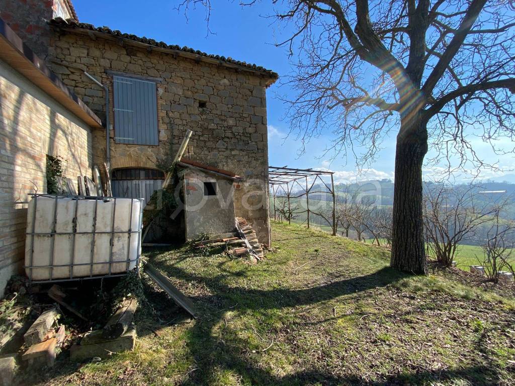 immagine annuncio 6 di 11