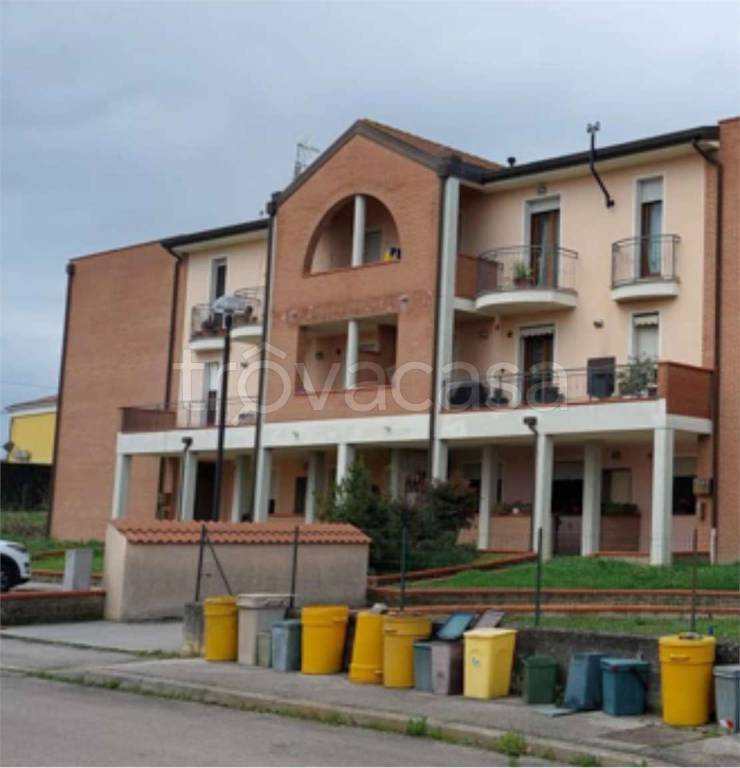immagine annuncio 13 di 14