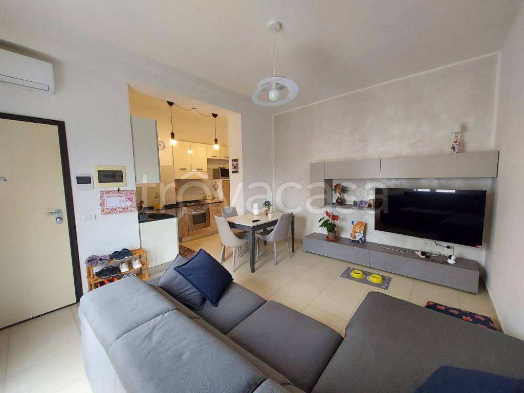 immagine annuncio 6 di 15