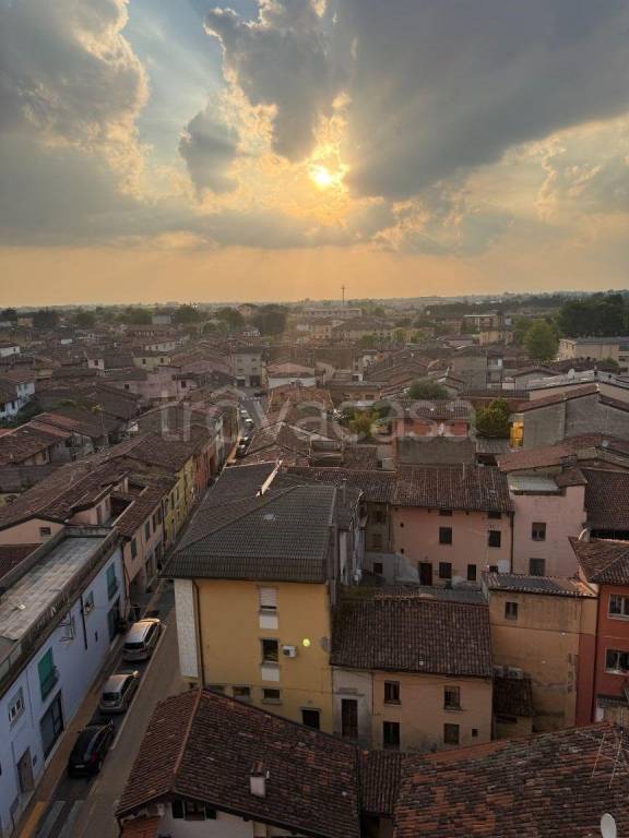 immagine annuncio 11 di 14