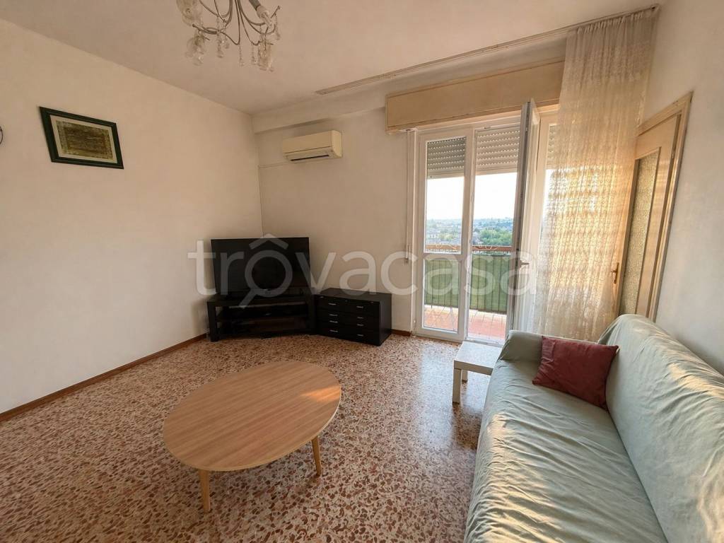 immagine annuncio 1 di 14