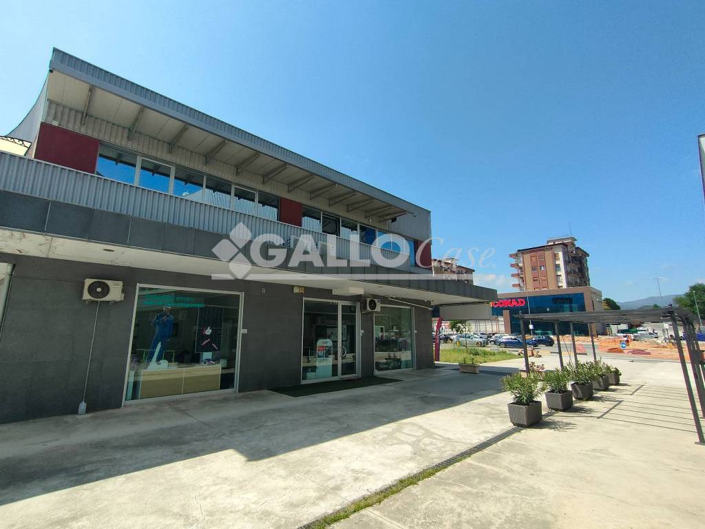 immagine annuncio 9 di 11