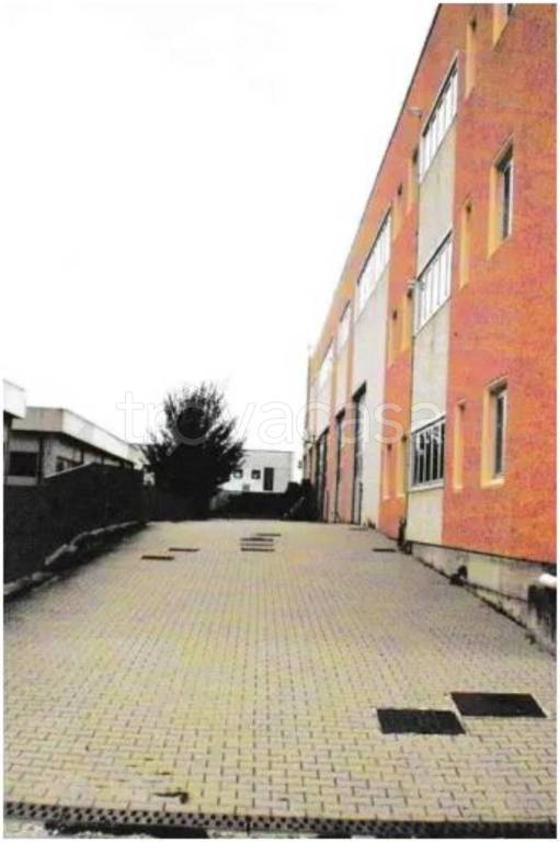 immagine annuncio 4 di 12
