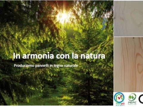 immagine annuncio 3 di 6