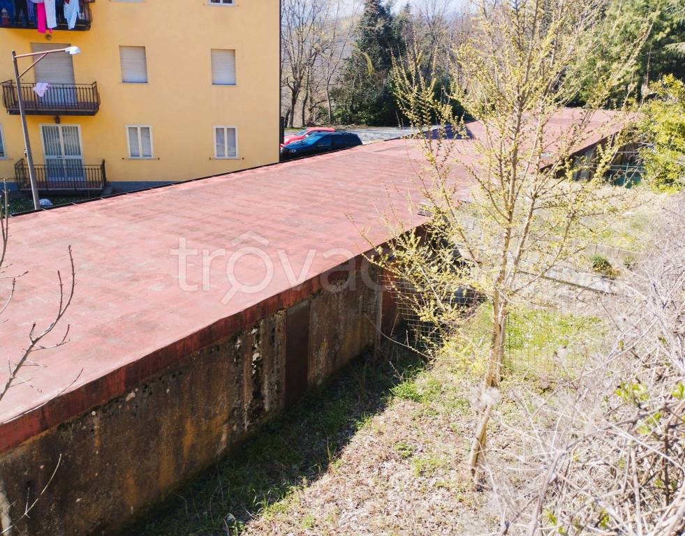 immagine annuncio 12 di 13