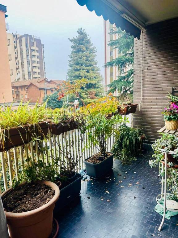 immagine annuncio 7 di 11