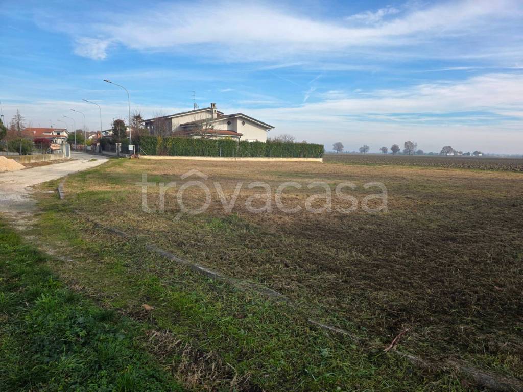 immagine annuncio 5 di 8