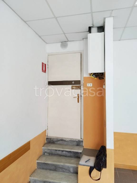 immagine annuncio 3 di 8