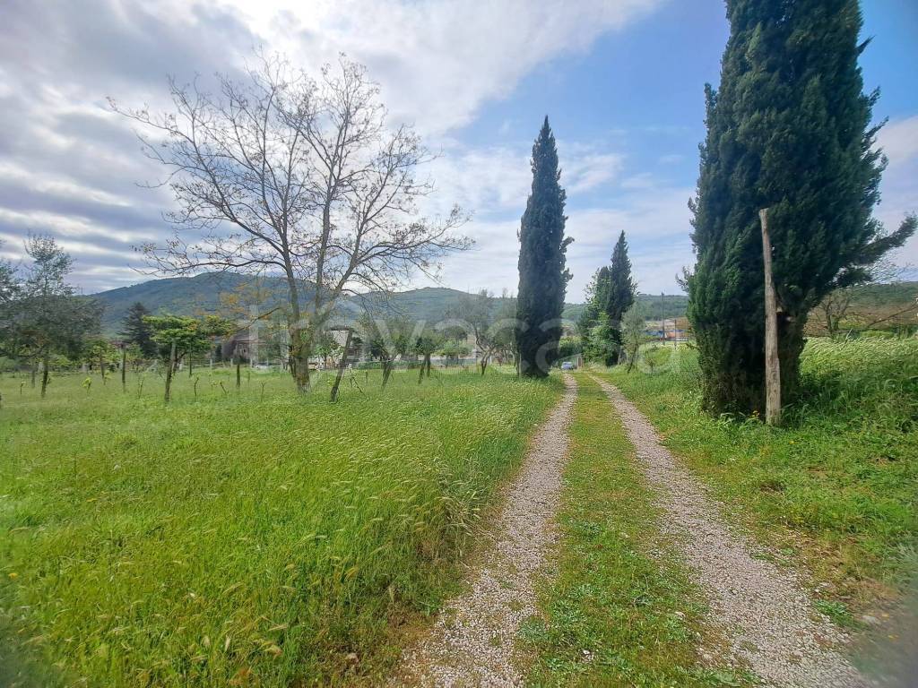 immagine annuncio 13 di 14