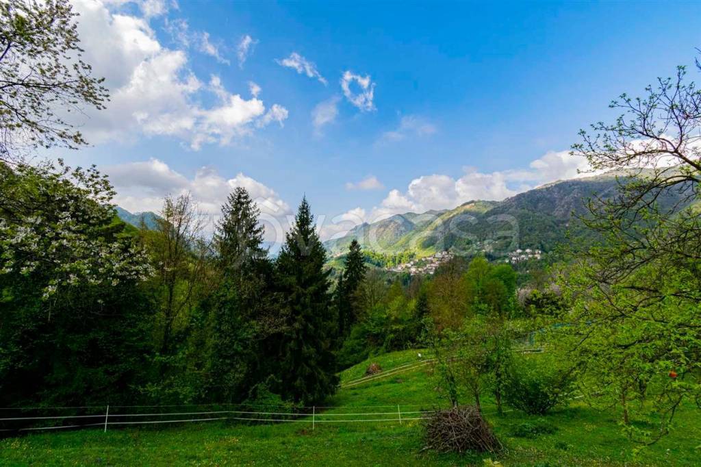 immagine annuncio 5 di 11