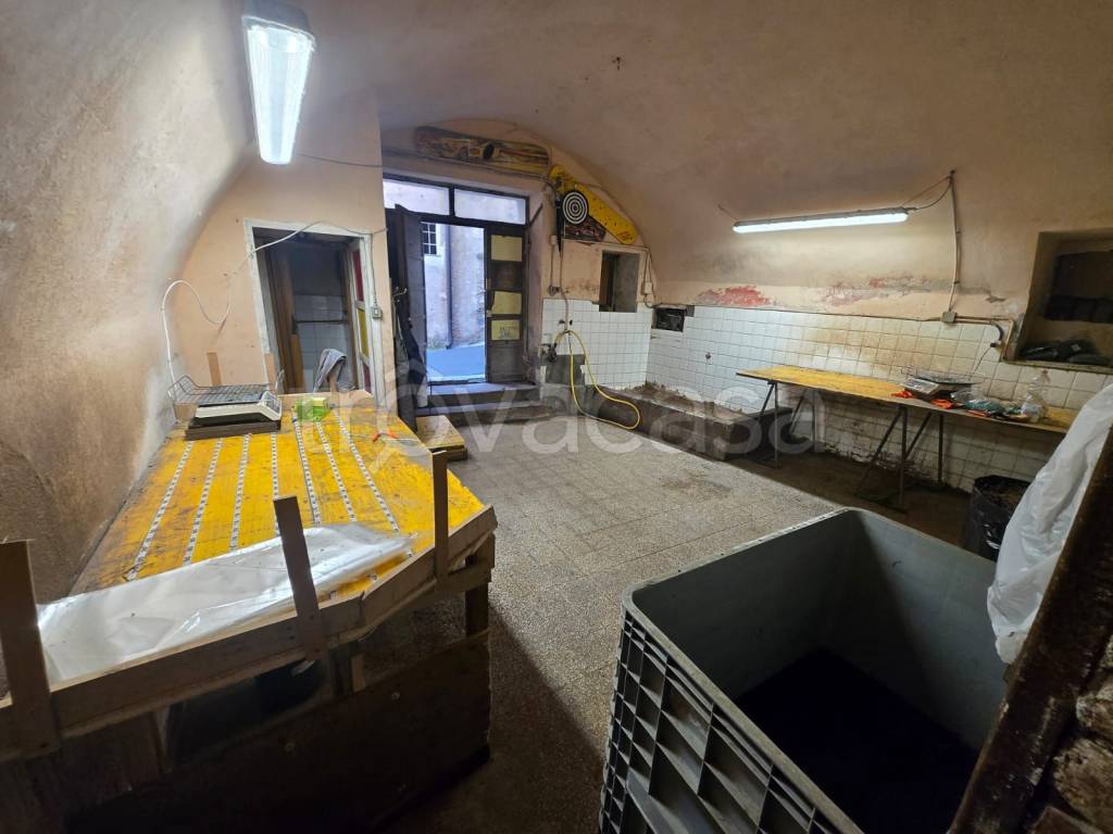 immagine annuncio 5 di 14
