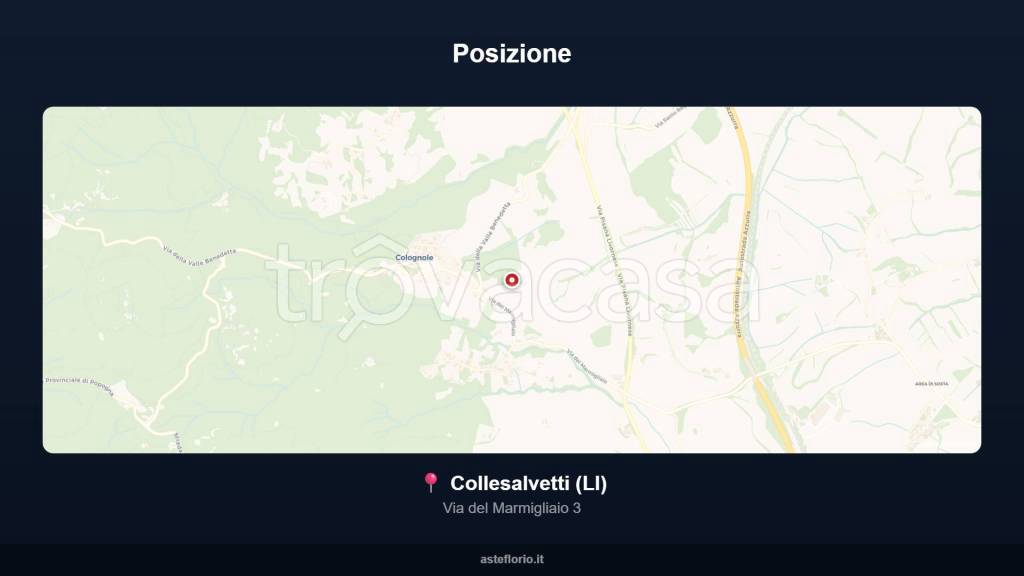 immagine annuncio 9 di 15