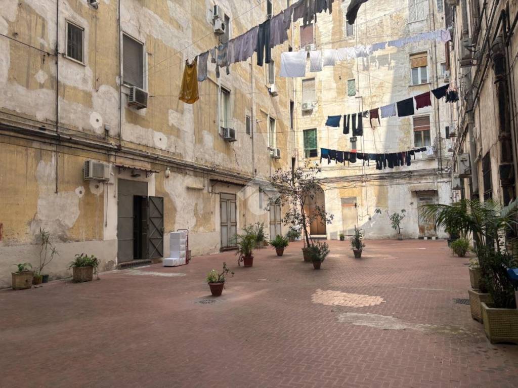 immagine annuncio 3 di 7