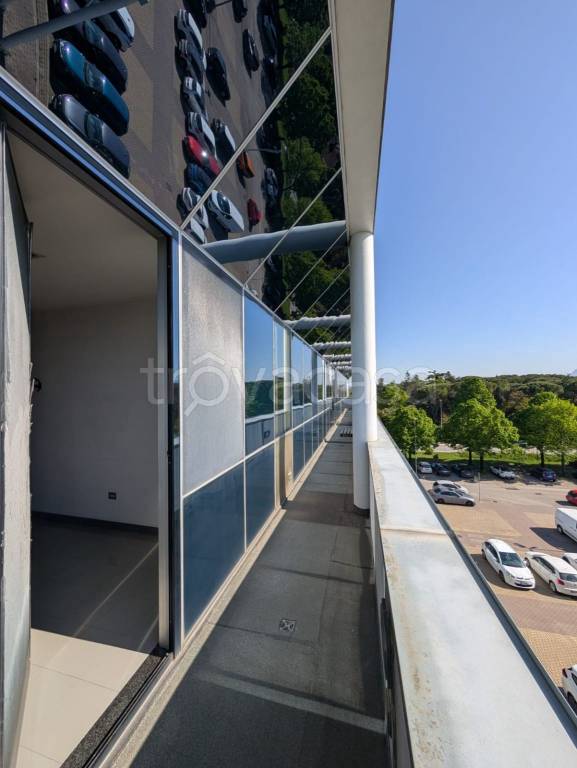 immagine annuncio 7 di 14