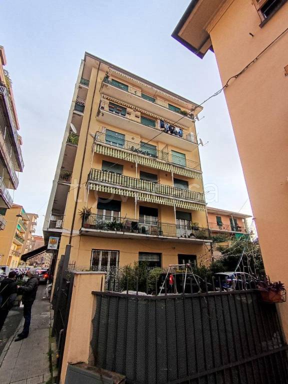 immagine annuncio 11 di 12