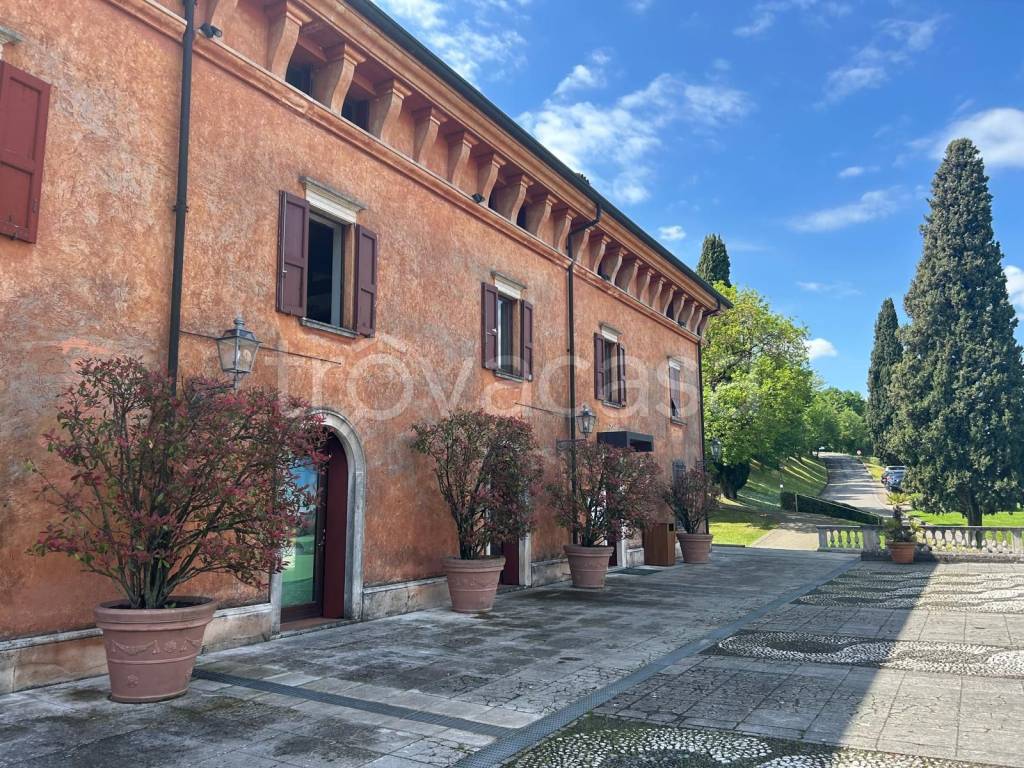 immagine annuncio 7 di 9