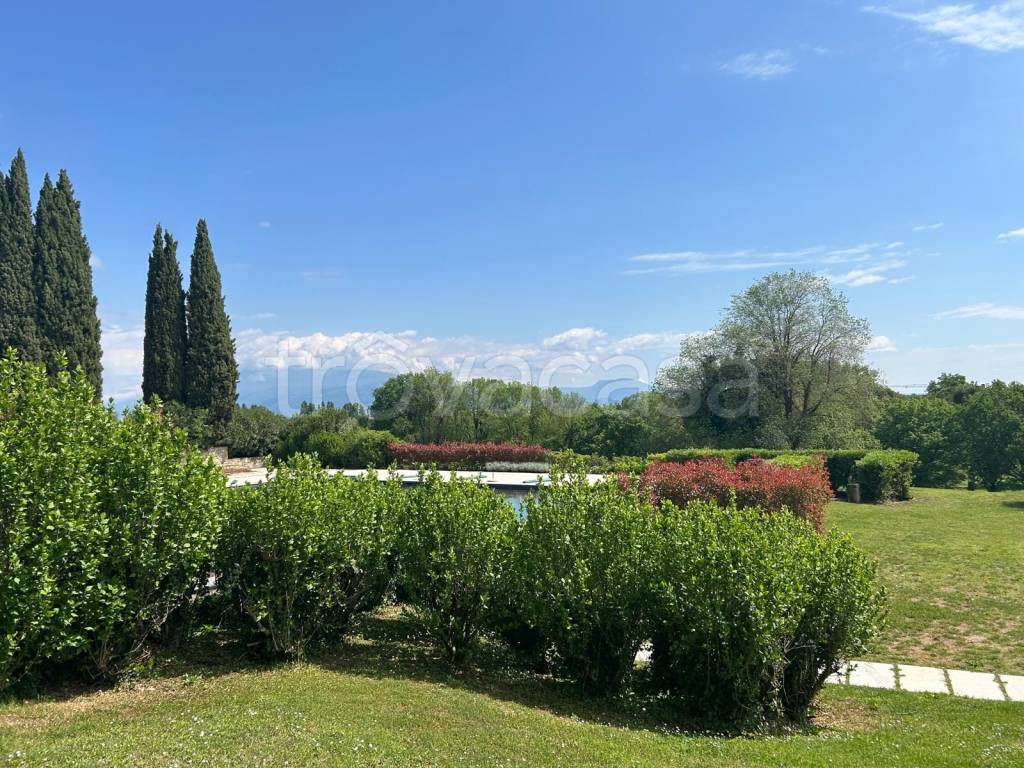 immagine annuncio 6 di 9