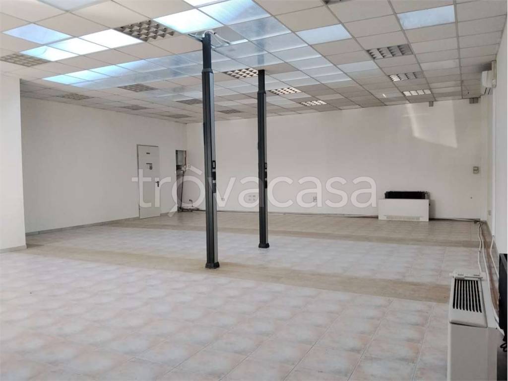immagine annuncio 2 di 12