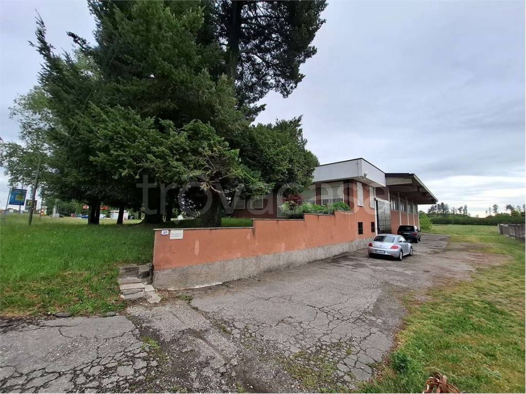immagine annuncio 4 di 9
