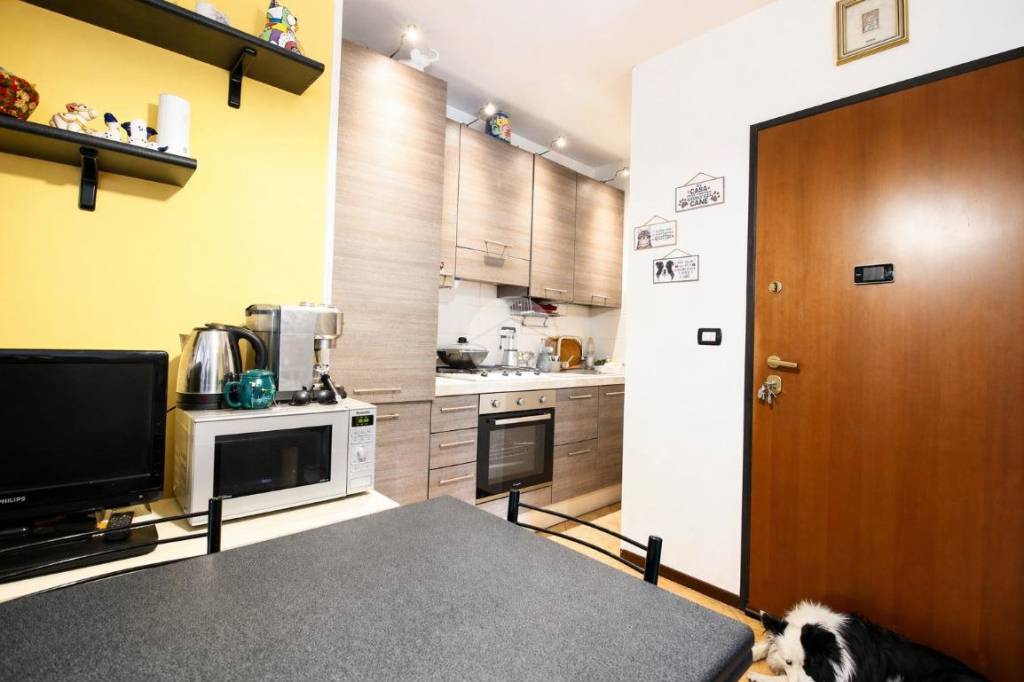 immagine annuncio 1 di 15