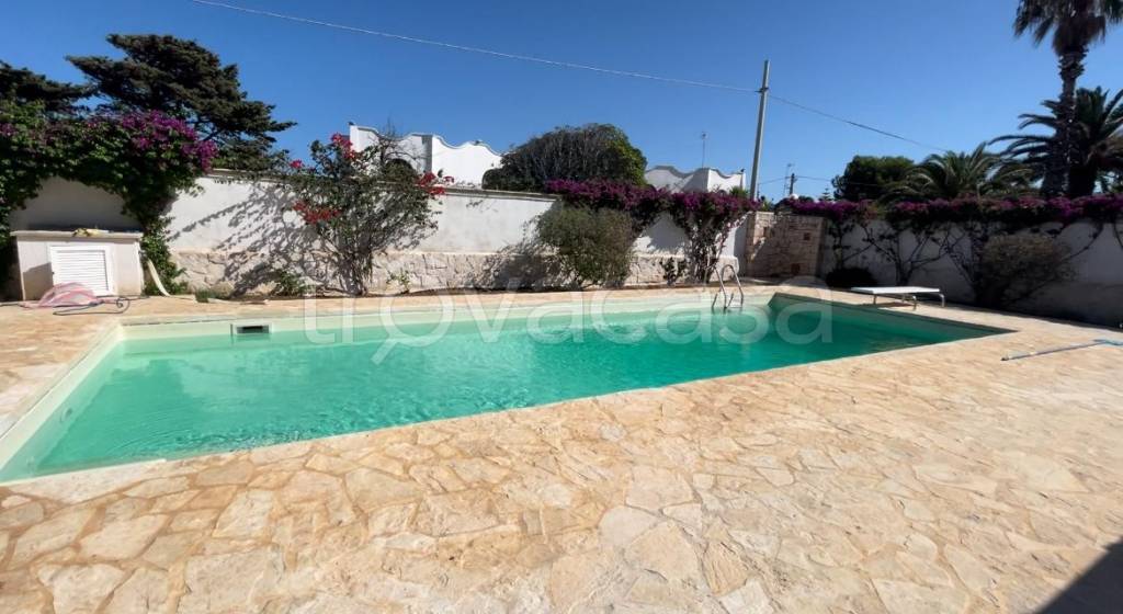 immagine annuncio 5 di 12