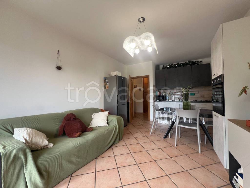 immagine annuncio 3 di 6