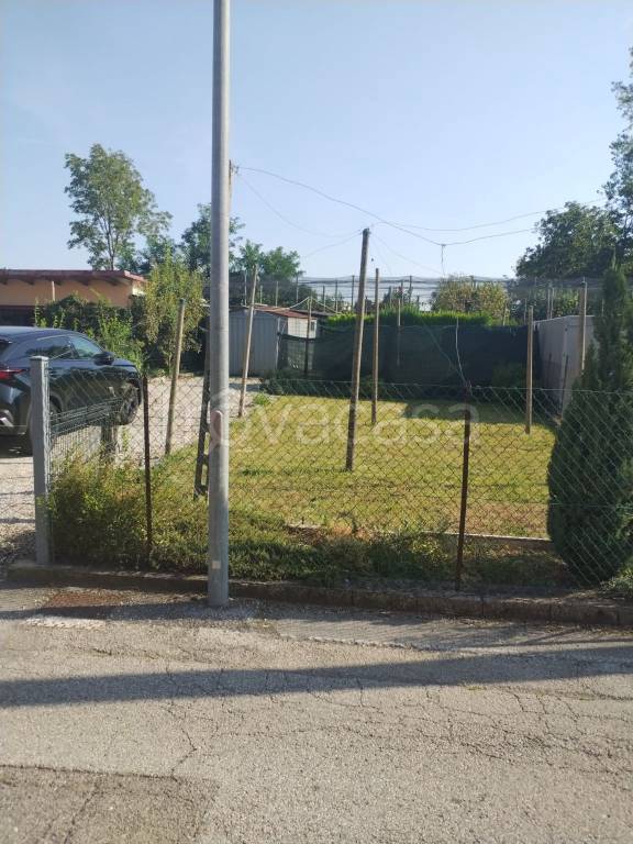 immagine annuncio 2 di 12