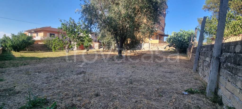 immagine annuncio 8 di 9