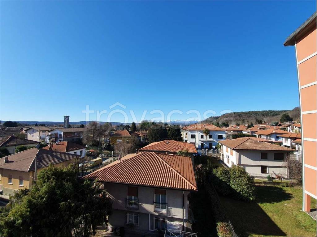 immagine annuncio 11 di 14