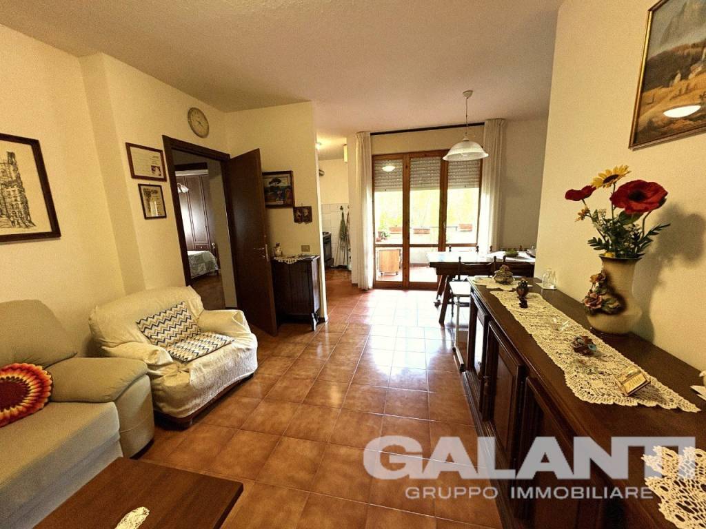 immagine annuncio 1 di 14