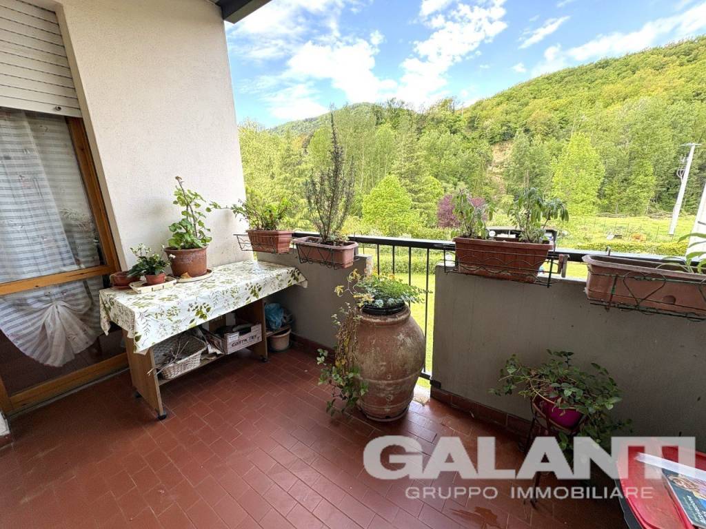 immagine annuncio 6 di 14