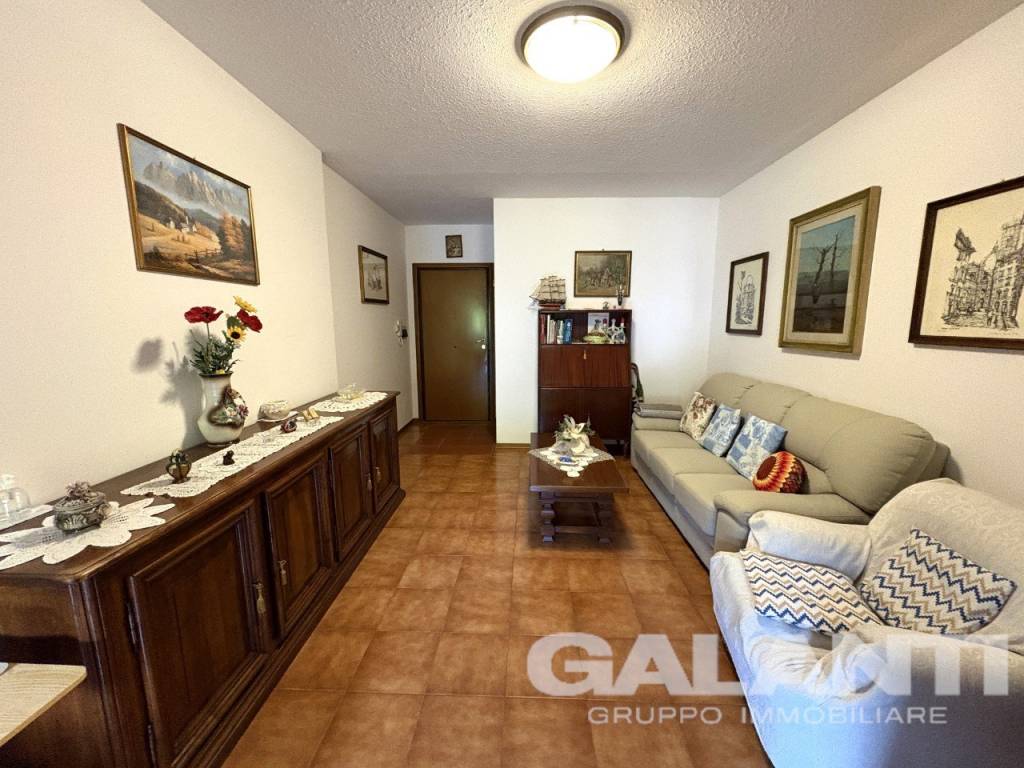 immagine annuncio 7 di 14