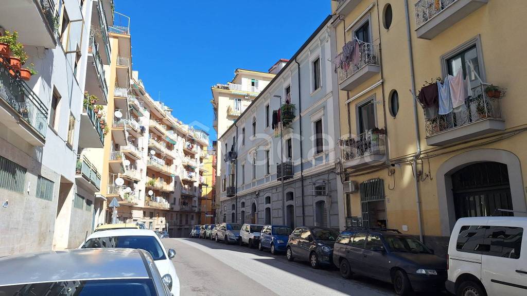 immagine annuncio 5 di 8