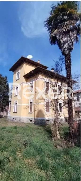 immagine annuncio 4 di 8