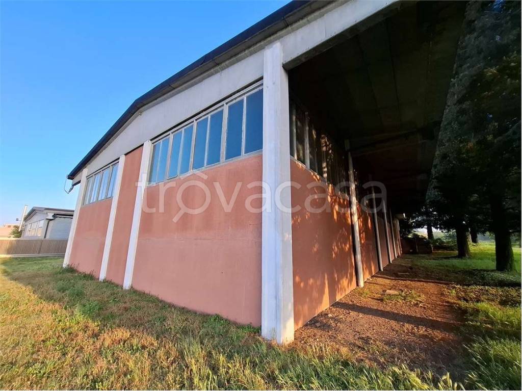 immagine annuncio 2 di 9